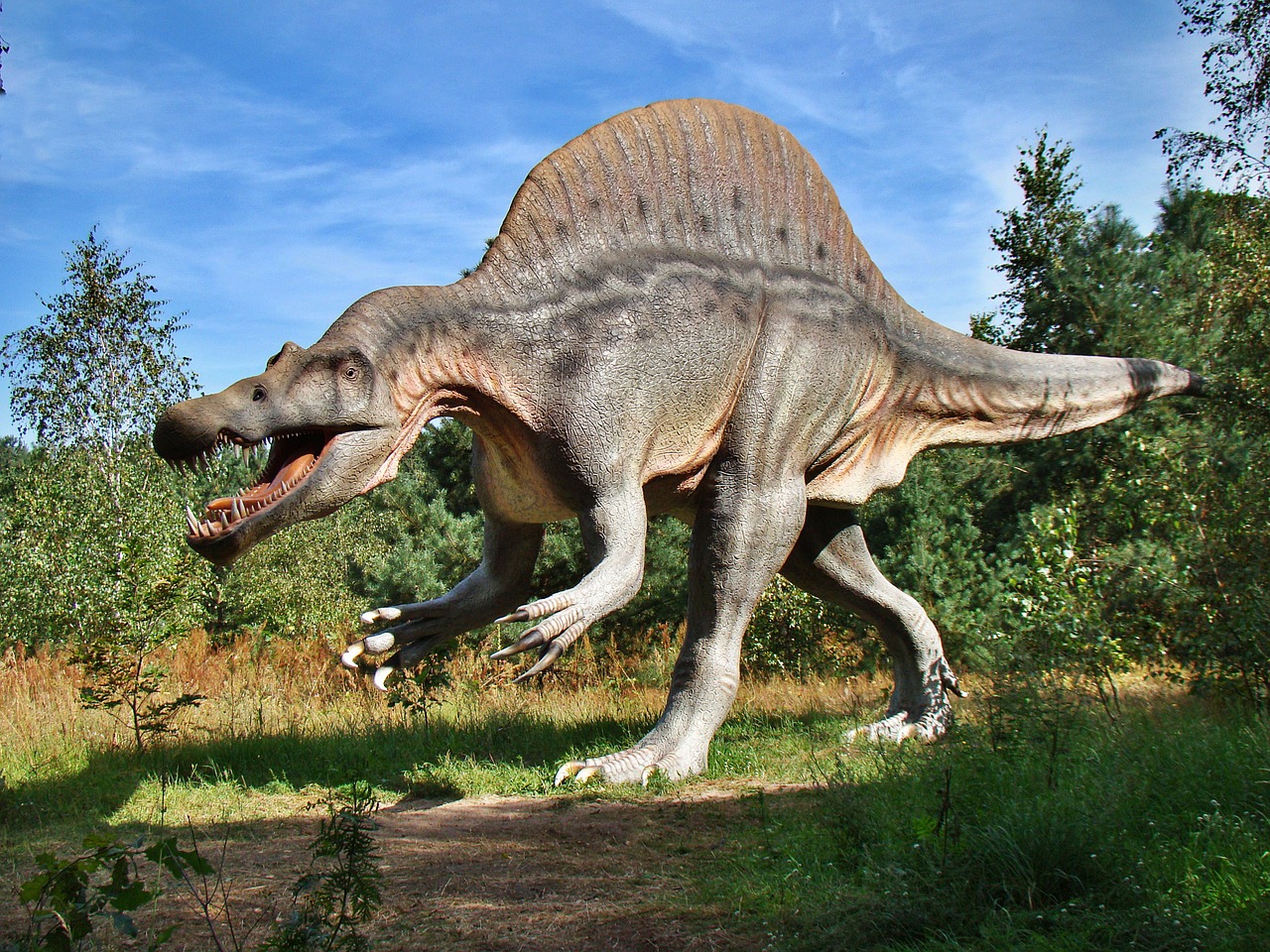Read more about the article Dinosaurs