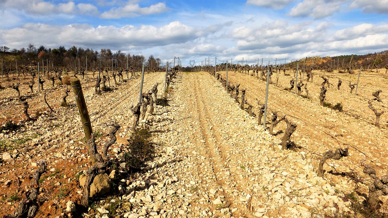 Read more about the article Stony Ground Christian